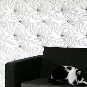 Papier Peint Fan