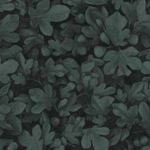 Papier Peint Ficus
