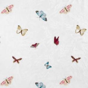 Papier Peint Farfalla