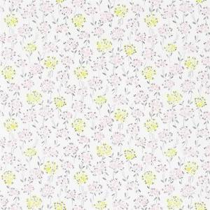 Papier Peint Forget Me Not