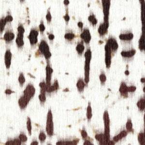 Papier Peint Java