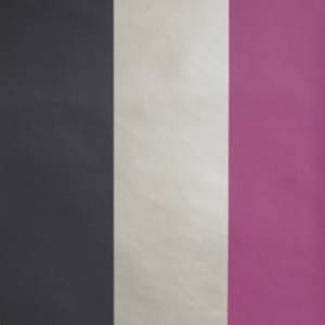 Papier peint Dulwich Stripe