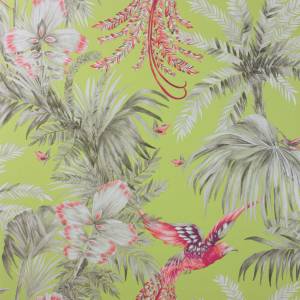Papier peint Birds Of Paradise