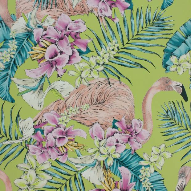 Papier peint Flamingo Club