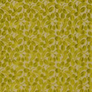 Tissu Calaggio