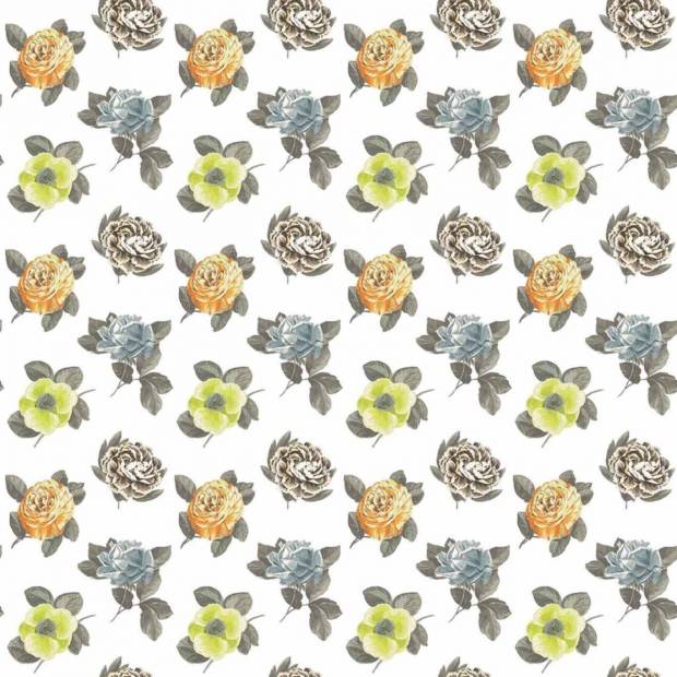 Papier Peint Pavonia