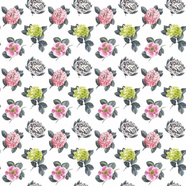Papier Peint Pavonia