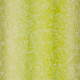 Papier Peint Yuzen