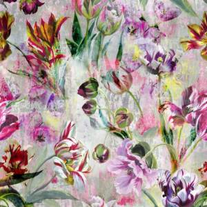 Papier Peint Tulipa Stellata