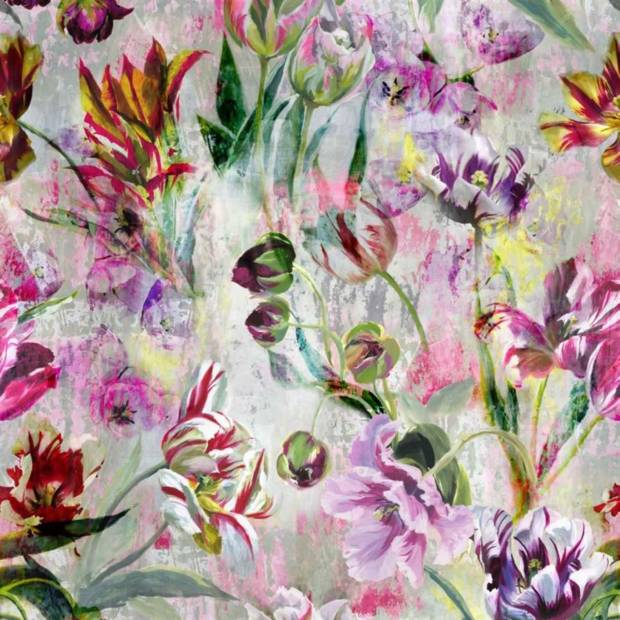 Papier Peint Tulipa Stellata