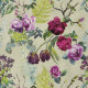 Papier Peint Tulipani