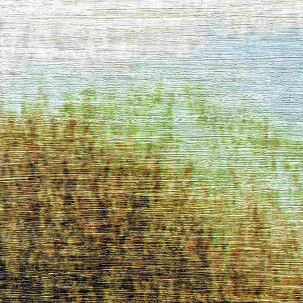 Papier Peint Sauvage