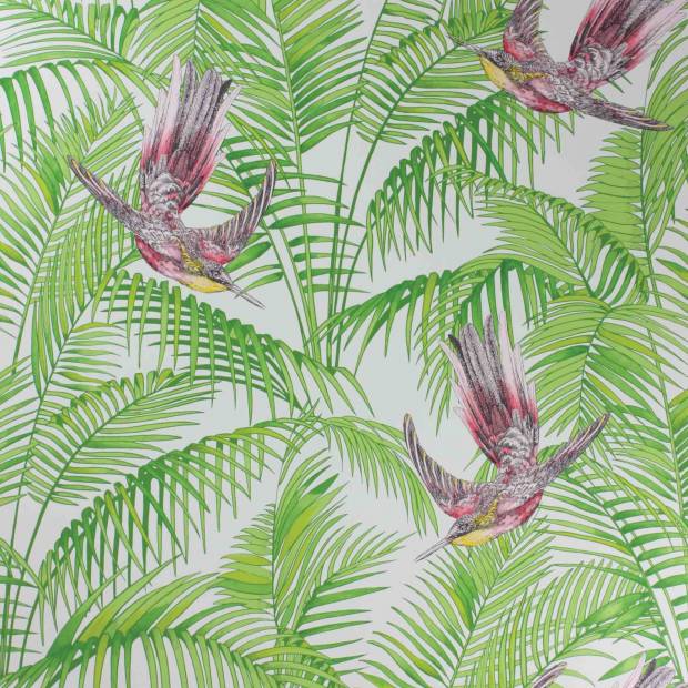 Papier peint Sunbird