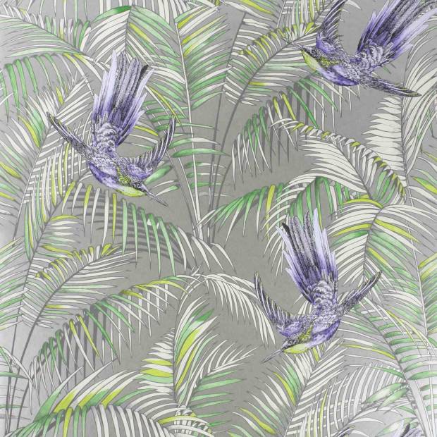 Papier peint Sunbird