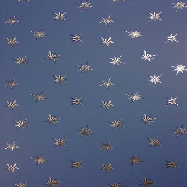 Papier Peint Sirius