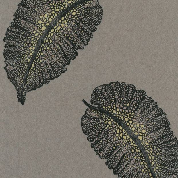 PARAGGI