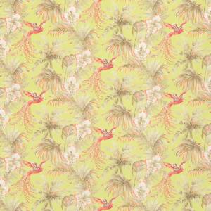 Tissu Bird Of Paradise